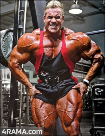 Программа тренировок для набора мышечной массы - Бодибилдинг форум AnabolicShops