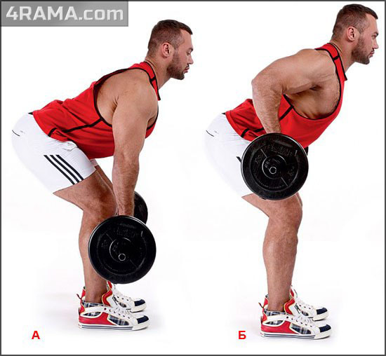 Упражнения для укрепления мышц спины - Бодибилдинг форум AnabolicShops