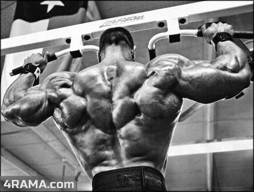 Упражнения для укрепления мышц спины - Бодибилдинг форум AnabolicShops