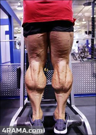 Тренировка голени - Бодибилдинг форум AnabolicShops