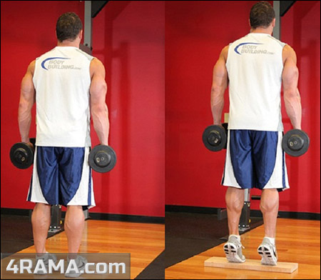 Подъемы на носки с гантелями или со штангой - Бодибилдинг форум AnabolicShops