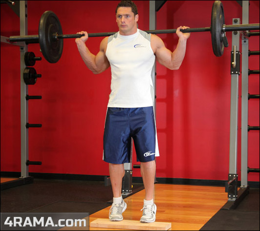 Подъемы на носки с гантелями или со штангой - Бодибилдинг форум AnabolicShops