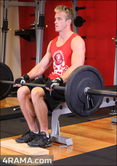 Подъемы на носки сидя - Бодибилдинг форум AnabolicShops