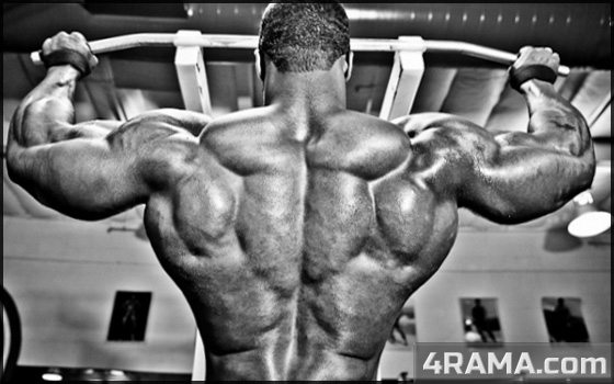 Как накачать широкую спину - Бодибилдинг форум AnabolicShops