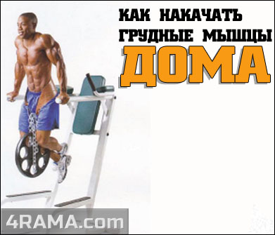 Тренировка грудных мышц дома - Бодибилдинг форум AnabolicShops