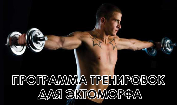 Программа тренировок для эктоморфа - Бодибилдинг форум AnabolicShops