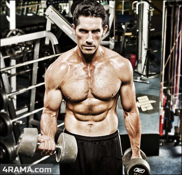 Программа тренировок для эктоморфа - Бодибилдинг форум AnabolicShops