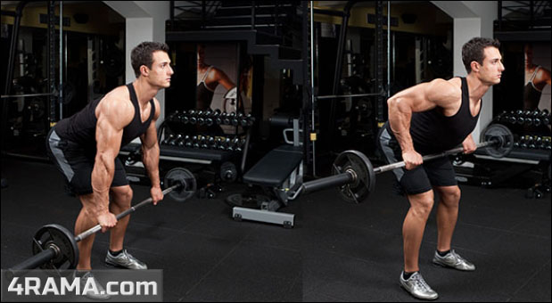 Тяга штанги в наклоне широким хватом - Бодибилдинг форум AnabolicShops