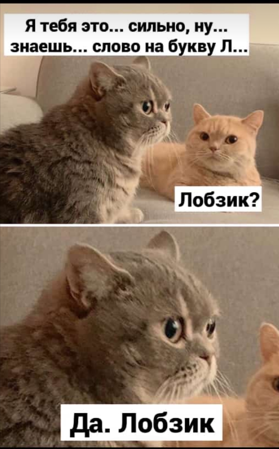 Курилка- разговоры на любые темы - Бодибилдинг форум AnabolicShops