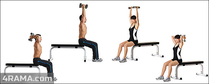 Разгибания рук с гантелями - Бодибилдинг форум AnabolicShops