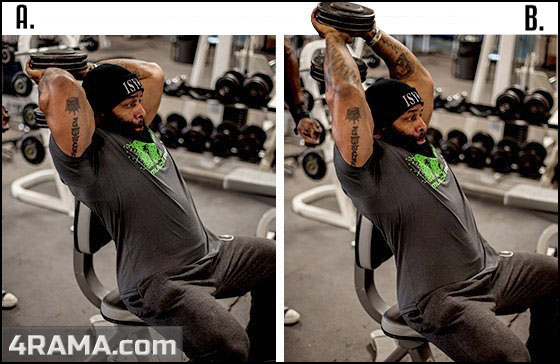 Разгибания рук с гантелями - Бодибилдинг форум AnabolicShops