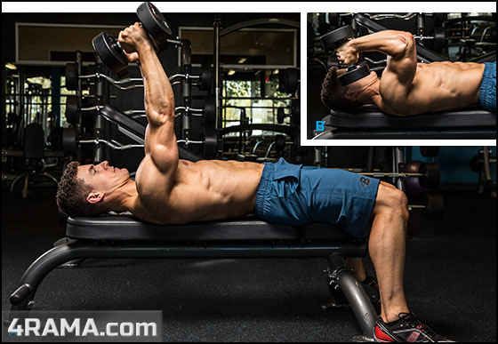 Разгибания рук с гантелями - Бодибилдинг форум AnabolicShops