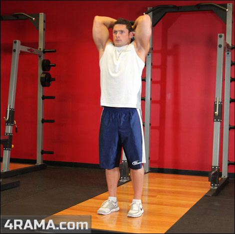 Разгибания рук с гантелями - Бодибилдинг форум AnabolicShops