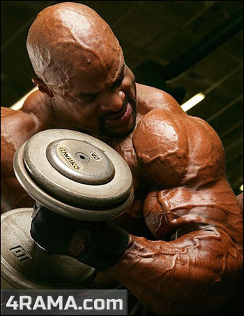 Тренировка бицепса в бодибилдинге - Бодибилдинг форум AnabolicShops