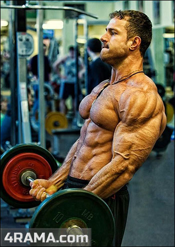 Тренировка бицепса в бодибилдинге - Бодибилдинг форум AnabolicShops