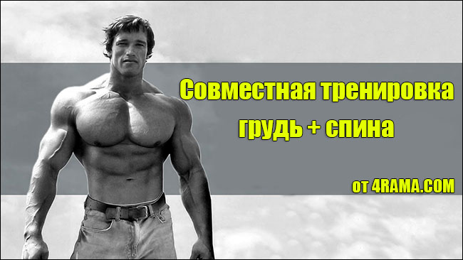 Тренировка груди и спины в один день - Бодибилдинг форум AnabolicShops