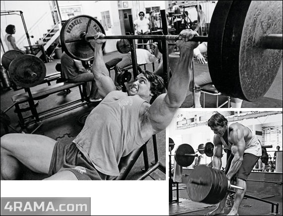 Тренировка груди и спины в один день - Бодибилдинг форум AnabolicShops