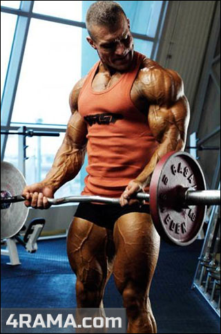 Комплекс упражнений для начинающих - Бодибилдинг форум AnabolicShops