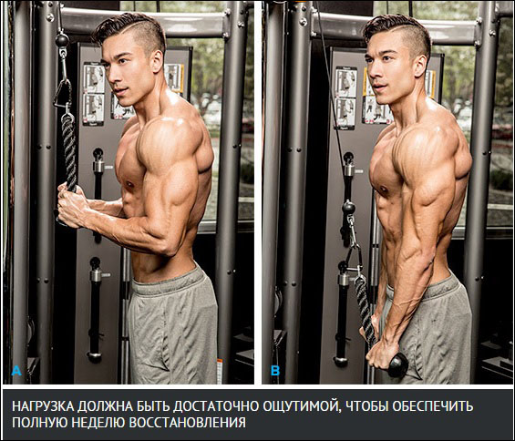 Четырехдневный сплит на массу - Бодибилдинг форум AnabolicShops