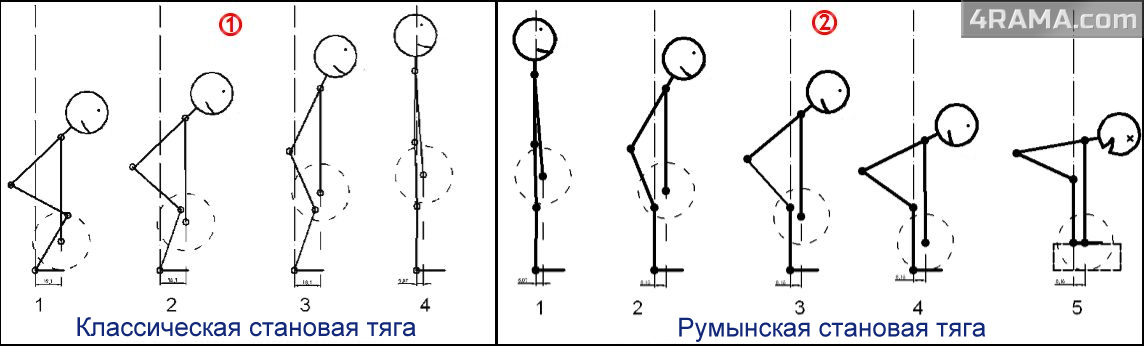 Румынская становая тяга - Бодибилдинг форум AnabolicShops