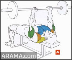 Жим лежа узким хватом - Бодибилдинг форум AnabolicShops