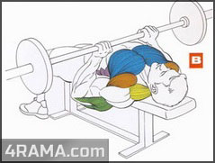 Жим лежа узким хватом - Бодибилдинг форум AnabolicShops