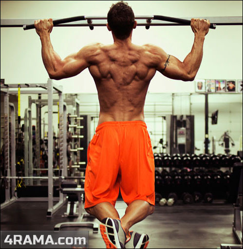 Тренировка спины в тренажерном зале - Бодибилдинг форум AnabolicShops