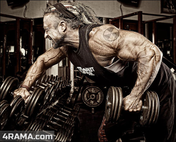 Тренировка спины в тренажерном зале - Бодибилдинг форум AnabolicShops