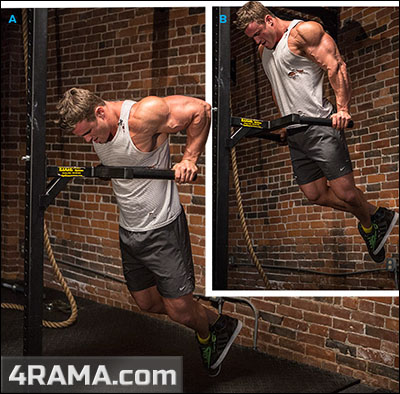 Застой в жиме лежа - Бодибилдинг форум AnabolicShops