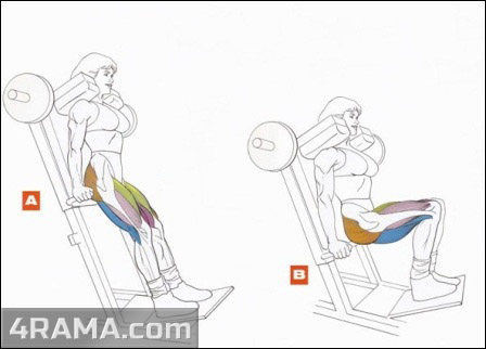 Гакк приседания - Бодибилдинг форум AnabolicShops