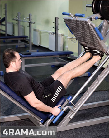 Подъемы на носки в тренажере - Бодибилдинг форум AnabolicShops