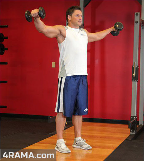 Упражнения для тренировки плеч - Бодибилдинг форум AnabolicShops