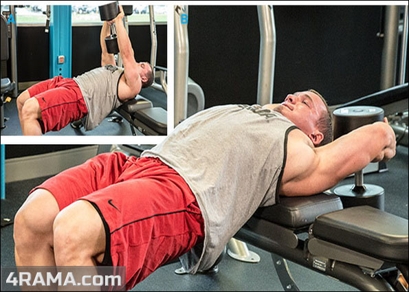 Растяжка мышц - Бодибилдинг форум AnabolicShops