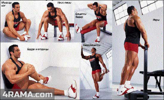 Растяжка мышц - Бодибилдинг форум AnabolicShops