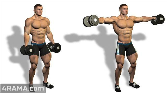 Махи гантелями в стороны стоя - Бодибилдинг форум AnabolicShops