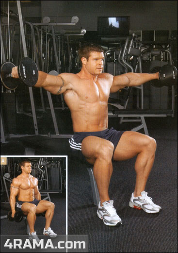 Махи гантелями в стороны стоя - Бодибилдинг форум AnabolicShops
