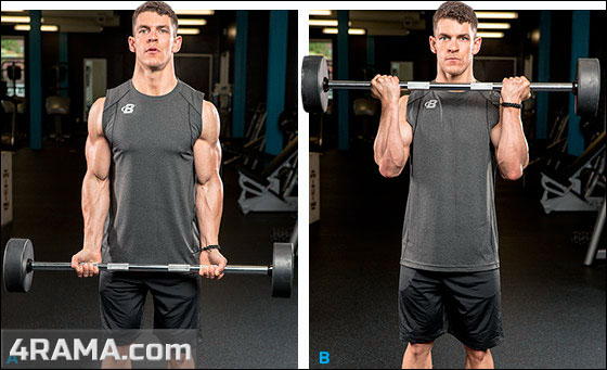 Подъем штанги на бицепс стоя - Бодибилдинг форум AnabolicShops