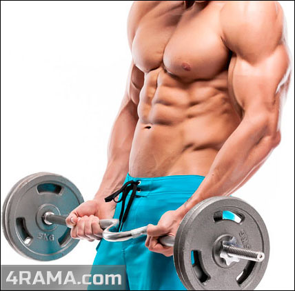 Подъем штанги на бицепс стоя - Бодибилдинг форум AnabolicShops