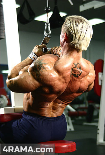 Тяга верхнего блока - Бодибилдинг форум AnabolicShops