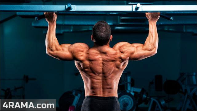Тренировка рук и спины - Бодибилдинг форум AnabolicShops