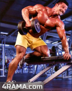 Тренировка рук и спины - Бодибилдинг форум AnabolicShops