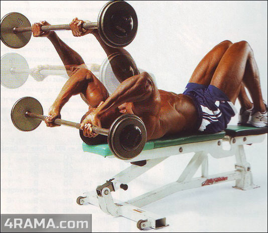 Тренировка рук и спины - Бодибилдинг форум AnabolicShops