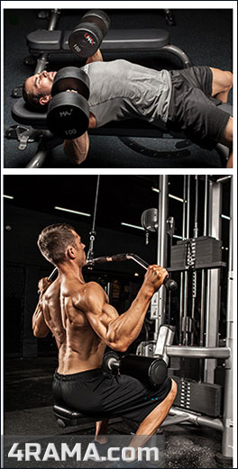 Суперсеты для похудения - Бодибилдинг форум AnabolicShops