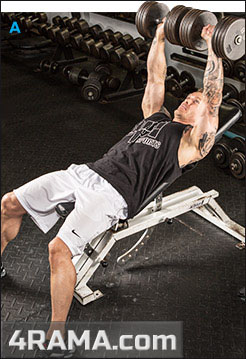 Упражнения на грудные мышцы - Бодибилдинг форум AnabolicShops