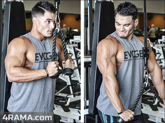 Суперсеты на руки - Бодибилдинг форум AnabolicShops