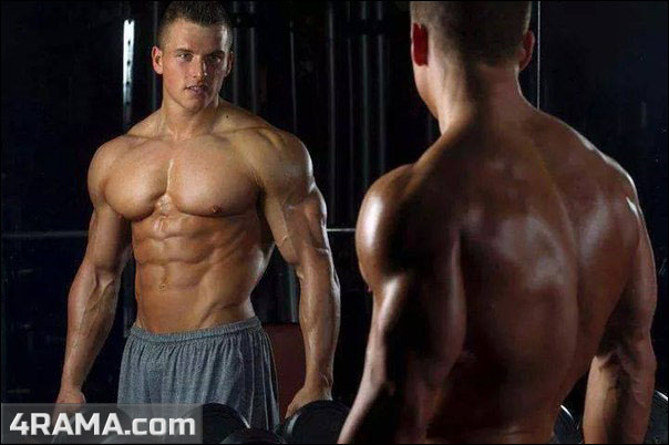 Бодибилдинг для начинающих - Бодибилдинг форум AnabolicShops