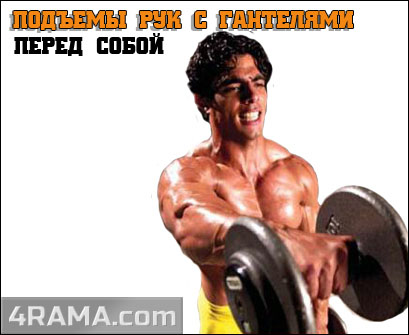 Подъемы рук с гантелями перед собой - Бодибилдинг форум AnabolicShops