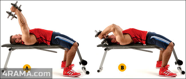 Французский жим лежа с гантелями - Бодибилдинг форум AnabolicShops