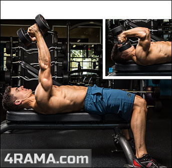 Французский жим лежа с гантелями - Бодибилдинг форум AnabolicShops