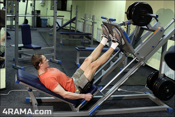 Упражнения для тренировки ног - Бодибилдинг форум AnabolicShops